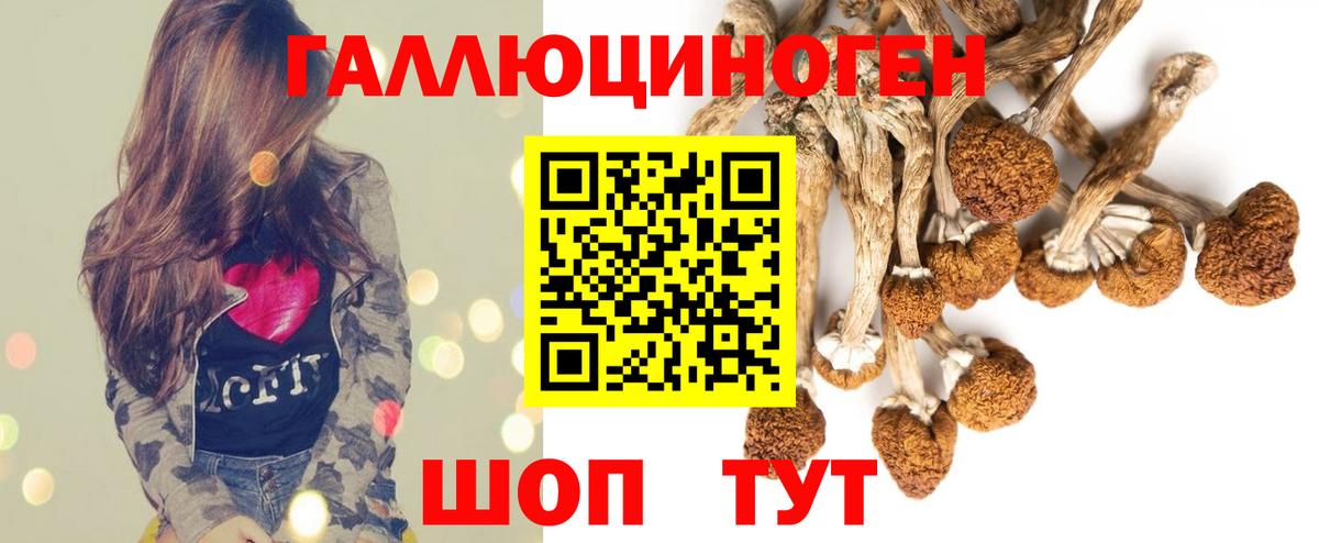 Заволжье  Галлюциногенные грибы мицелий  Вход с VPN 